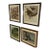 1917 Vintage DuPont Promotional Game Bird Framed Prints by Hunt & DeFeo - Set of 4 For Sale