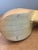 Khaki Vintage Abstract Wood Nautilus Shell Sculpture For Sale - Image 8 of 12