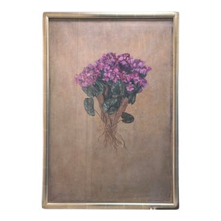 Cyclamen For Sale