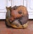 19th Century German Black Forest Walnut Bear and Fish Carved Wall Sculpture For Sale - Image 4 of 6