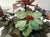 Asian Cloisonné Enamel Cup with Bouquet of Hardstone Flowers For Sale - Image 4 of 18