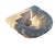 Carved Limestone Fluted Sink or Fountain Basin With Aged Patina For Sale In Pittsburgh - Image 6 of 12