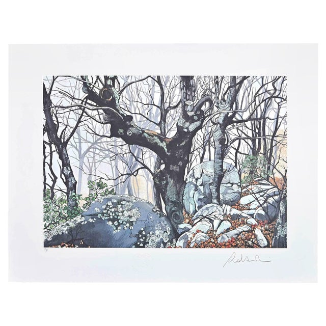 Rolandi (Maurizio Coccia), In the Forest, Original Screen Print, 1980s For Sale