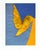 Josef Albers 2009 the Interaction of Color Plate XXV-4 For Sale