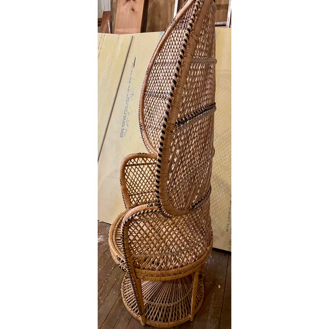 How cute! This pair of dramatic Bohemian Emmanuelle chairs are very close to being the same. Of course the size is...