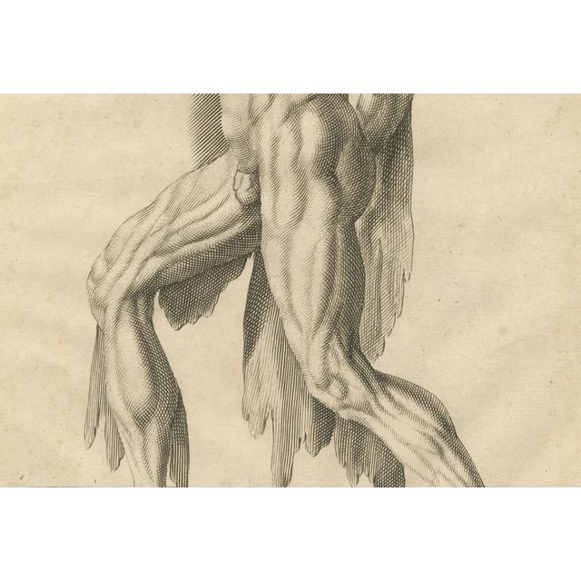 After Gérard de Lairesse, Anatomical Male Figure Reaching Upward, 1745, Paper For Sale - Image 4 of 10