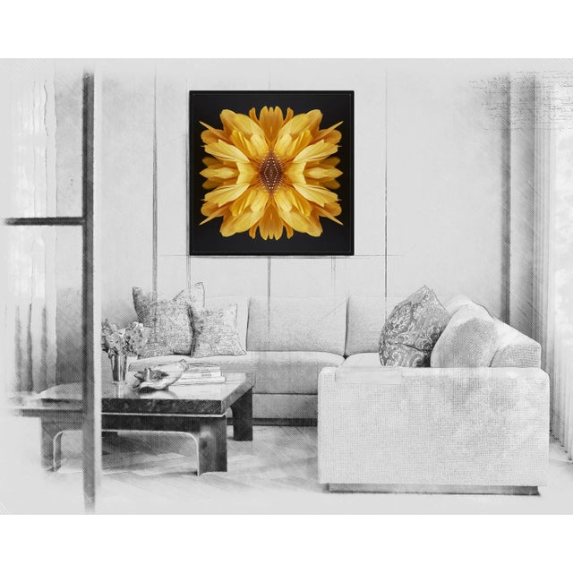 Modern "No. 51" Contemporary Original Op Art Botanical Limited Edition Photograph Print by Erin Derby For Sale - Image 3 of 3