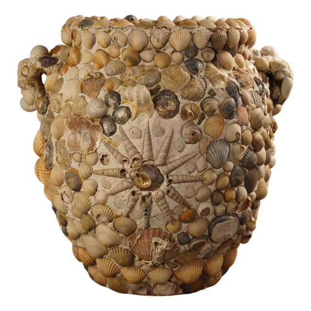 Coastal Grey Shell Vase For Sale