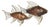 Mid-Century French Fish Sculptures in Wood and Gilded Metal, 1970s, Set of 2 For Sale
