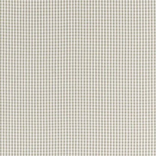 Sample - Schumacher Aruba Check Fabric in Stone For Sale