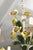 A charming Italian tole chandelier adorning hand-painted yellow roses. Six scrolling arms emerge from a tied bouquet base,...