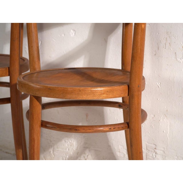 Wood Bentwood Chairs in the style of Thonet, Hungary, 1960, Set of 2 For Sale - Image 7 of 13