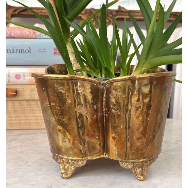 A scalloped vintage small brass footed cachepot, perfect for a small orchid, fern or African Violet. Adds beautiful shine...