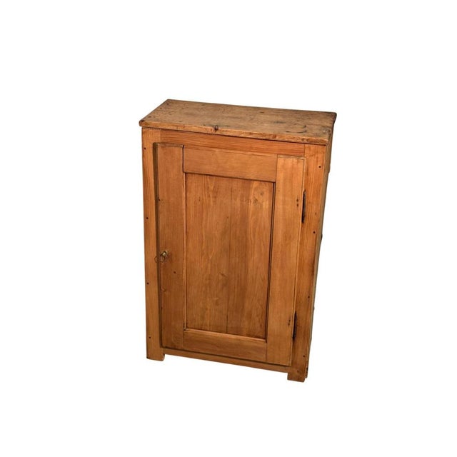 Rustic Early 20th Century Fir Wood Cabinet with Single Door For Sale - Image 3 of 5