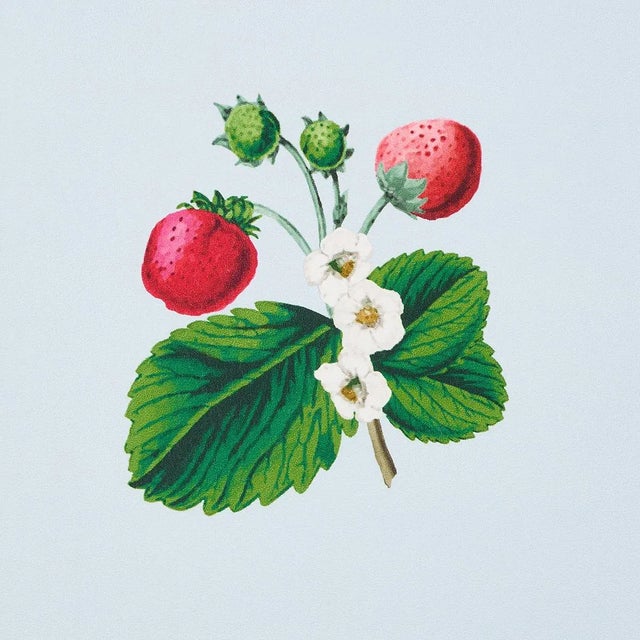 Contemporary Sample - Schumacher x Johnson Hartig Strawberry Hill Wallpaper in Blue For Sale - Image 3 of 4