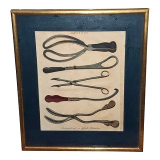 Hand Colored Medical Tools Engraving For Sale
