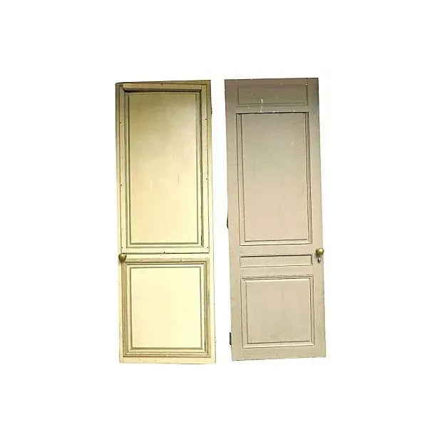 A pair of antique 19th century French hand-painted salon doors. One panel has a chicken wire mesh screen. It is hand-...