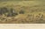 German School after Nikolai Przhevalsky, Wildlife of the Central Asian Steppe Natural History Lithograph, 1883, Lithograph For Sale - Image 6 of 9