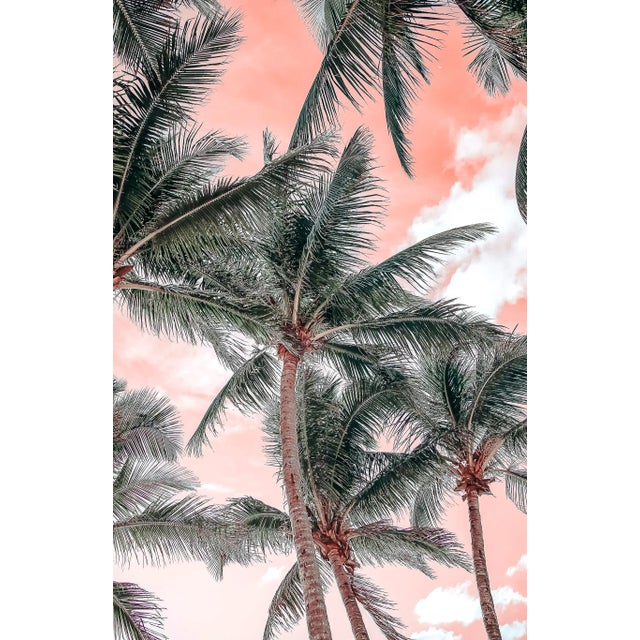 *All photos are available for purchase as a Limited Edition full color prints. I use an archival 100% cotton fine art...