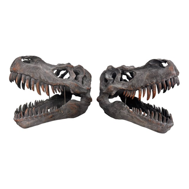 Late 20th Century Tyrannosaurus Rex Skull Sculpture For Sale - Image 13 of 13