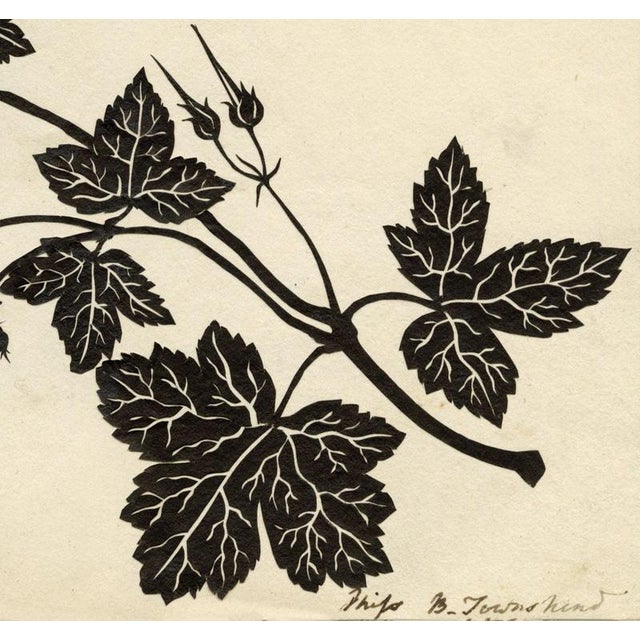 An original c.1800 silhouette paper cut – Barbara Anne Townshend, The Pencil'd Geranium.This stunning and exceptionally...