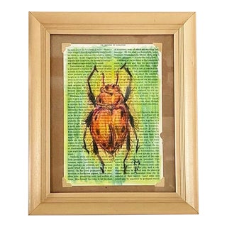 Contemporary Original Insect Series Crayon Drawing of a Green Beetle by Memo Faraj For Sale