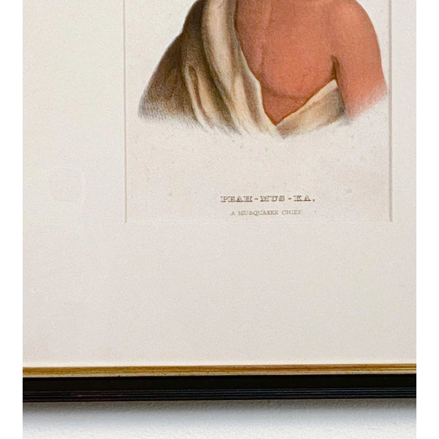 American "Peah-Mus-Ka, a Musquakee Chief" McKenney & Hall Engraving of a Native American, 19th Century For Sale - Image 3 of 6