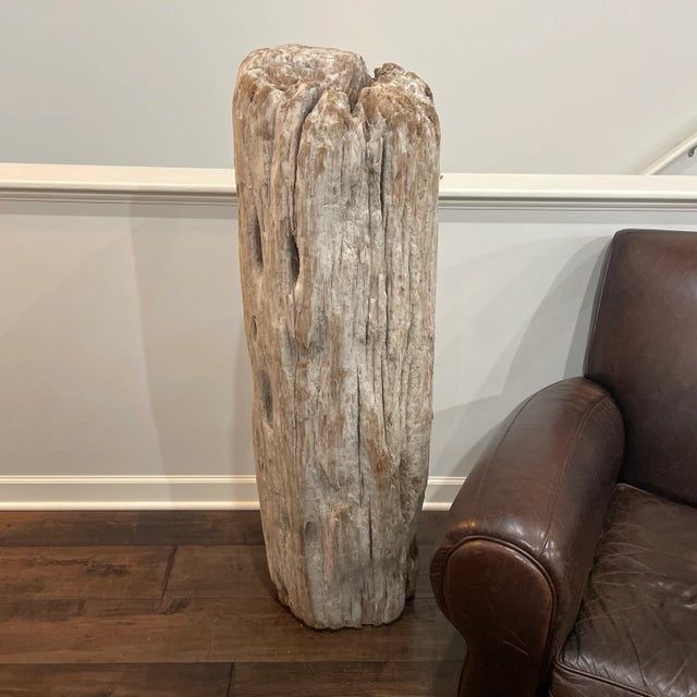 2006 Driftwood Sculpture For Sale - Image 4 of 13