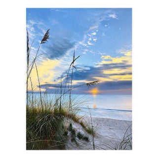 Original Coastal Sunset Painting – Beach Dunes & Sea Oats, 20 X 30" For Sale