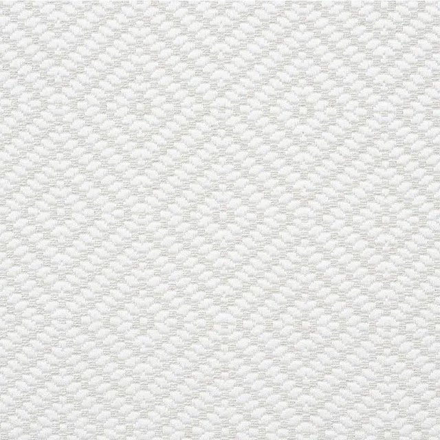 Sample - Schumacher Montane Fabric in Ivory For Sale