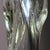 Eastern European Glass Caviersecha Sculpture, 1987 For Sale - Image 10 of 17