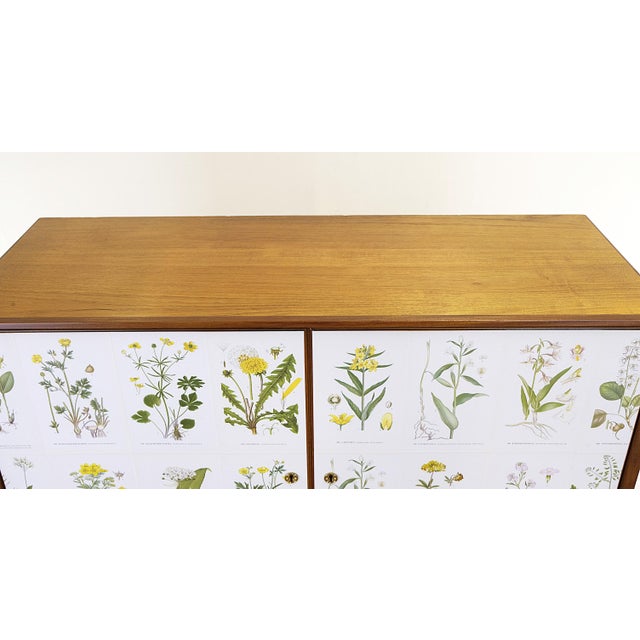 Vintage Cabinet with Nordens Flora Illustrations in the style of Josef Frank, 1960s For Sale - Image 6 of 10