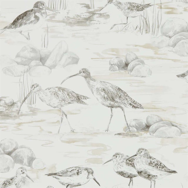 Sanderson Estuary Birds Wallpaper in Chalk/Sepia - a Sample For Sale