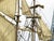 Nautical Vintage Halcon Model Sailing Ship For Sale - Image 3 of 4