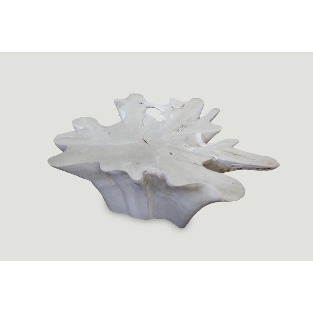 Andrianna Shamaris St. Barts Bleached Teak Wood Coffee Table For Sale - Image 11 of 18