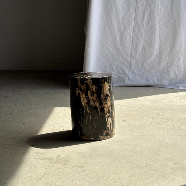 Side Table in Black Petrified Wood with Beige Sides, 1980s For Sale - Image 4 of 18