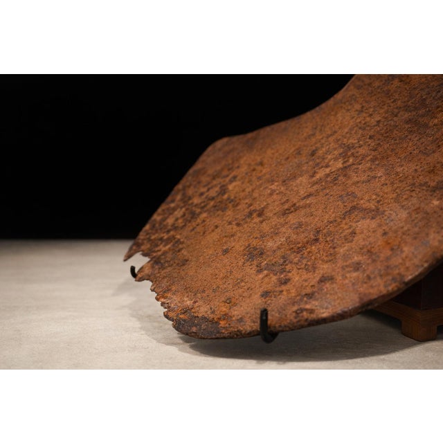Early 20th Century Early 20th Century Mambila / Chamba Hoe Currency — North Eastern Nigeria & Cameroon For Sale - Image 5 of 11