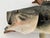 Late 20th Century Largemouth Bass Wall Mount on Driftwood, Rustic Lodge Decor For Sale - Image 9 of 12
