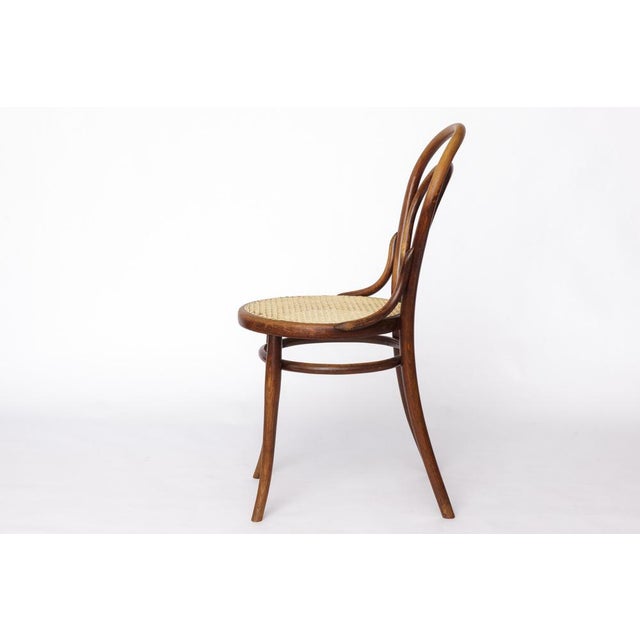 Antique No. 14 Chair Viennese Coffee House Bentwood Chair with Cane Seat by Michael Thonet for Thonet, 1920s For Sale - Image 6 of 10