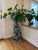 Antique 19th century bronze planter of a boy and goat that was once kept outdoors. I brought it inside because I loved...
