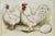 French Country Antique German Framed Chicken Print For Sale - Image 3 of 6