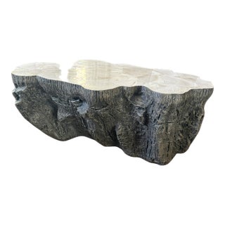 Attributed Palecek Chloe Fossil Clam Lava Coffee Table For Sale