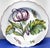 Ceramic 1980s Chelsea Botanical Plates by Mottahedah, Set of 12 For Sale - Image 7 of 10