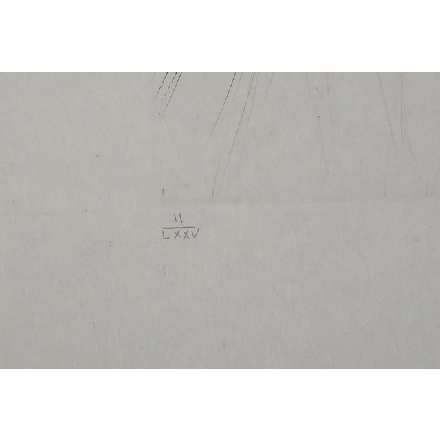 Salvador Dali, Nude, The Giant Beliagog, 1970, Engraving For Sale - Image 6 of 9