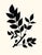 Prickly Ash, Giclée Print by Philippa Katz For Sale