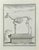 The Skeleton is an etching made by F. Guelard. The artwork Belongs to the suite "Natural, general and particular history...
