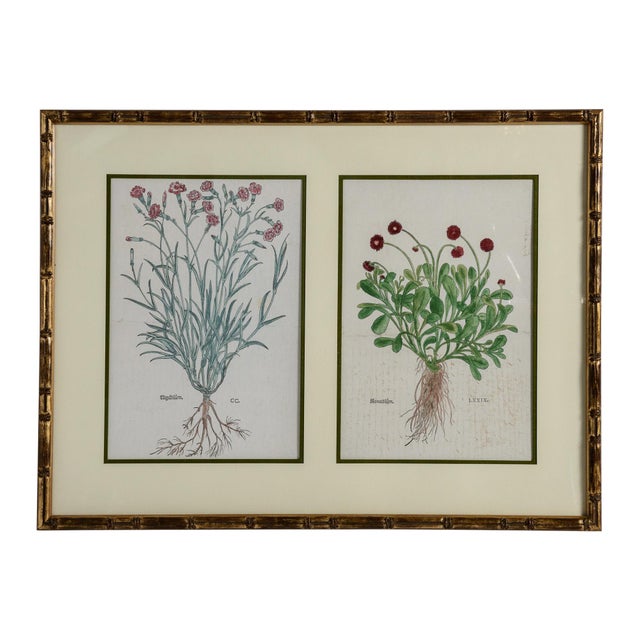 Just , This coordinated gallery set of three elegantly framed botanical diptychs, each frame showcasing two distinct...