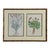 Just , This coordinated gallery set of three elegantly framed botanical diptychs, each frame showcasing two distinct...