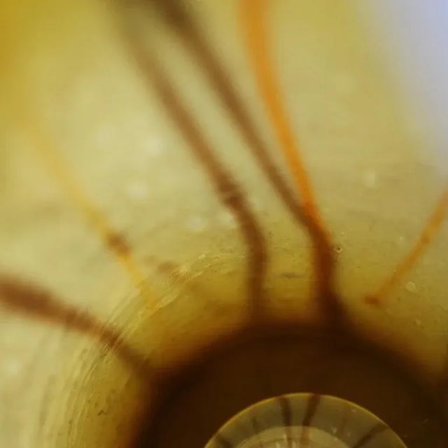 2000 - 2009 21st Century Murano Style Earth Toned Pendant For Sale - Image 5 of 6