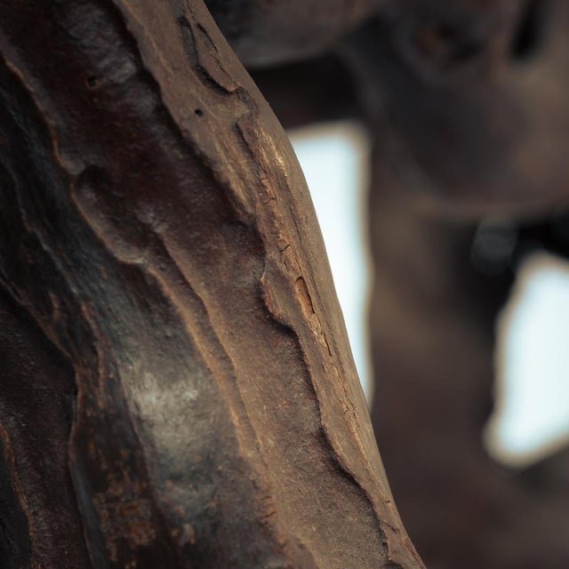 Brutalist Handcrafted Vine Wood and Oak Tripod Bar Stools, France, 1950s, Set of 4 For Sale - Image 14 of 18